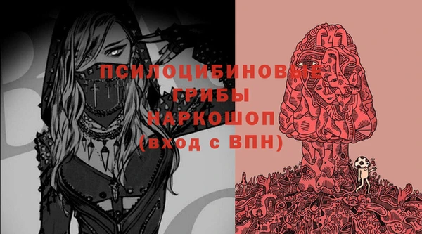 герыч Зеленокумск